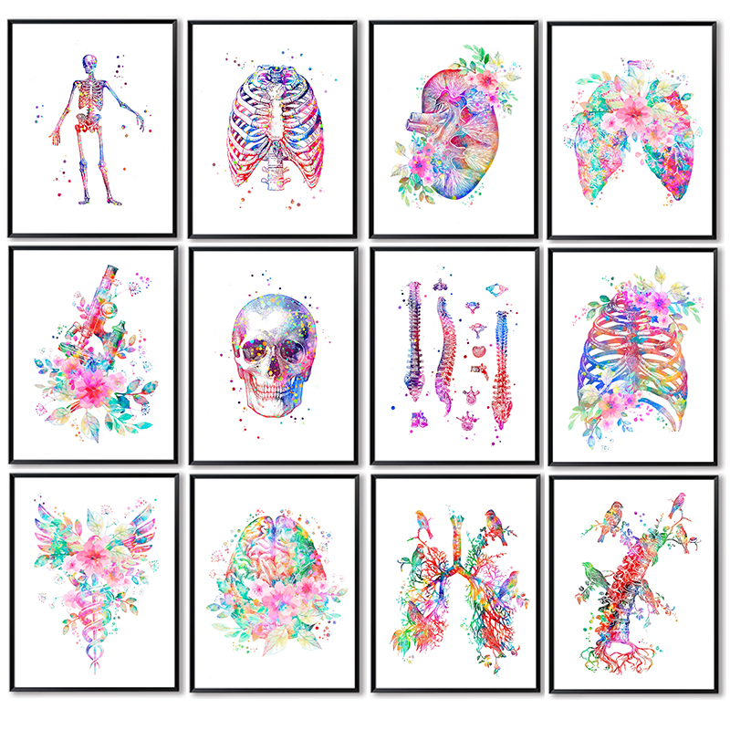 Medical Lab Pictures - Anatomie-Medizinposter Blumenorgan Wandkunst Leinwandgemälde Anthropologie Lehrreiche