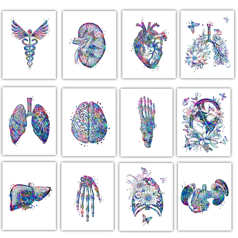 Medical Lab Pictures - Anatomie-Medizinposter: Blumenorgane Wandkunst Leinwandbild – Anthropologie