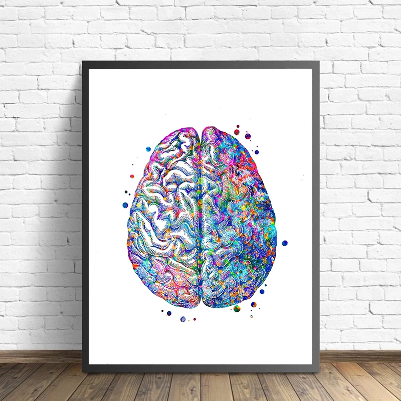 Anatomy Medical Poster Flower  – Medical Lab Pictures Bewertung und Preis