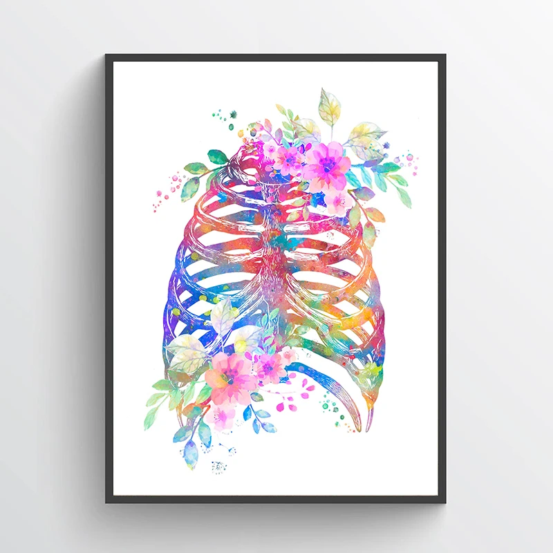 Anatomie-Medizinposter Blumeno – Medical Lab Pictures Bewertung und Preis