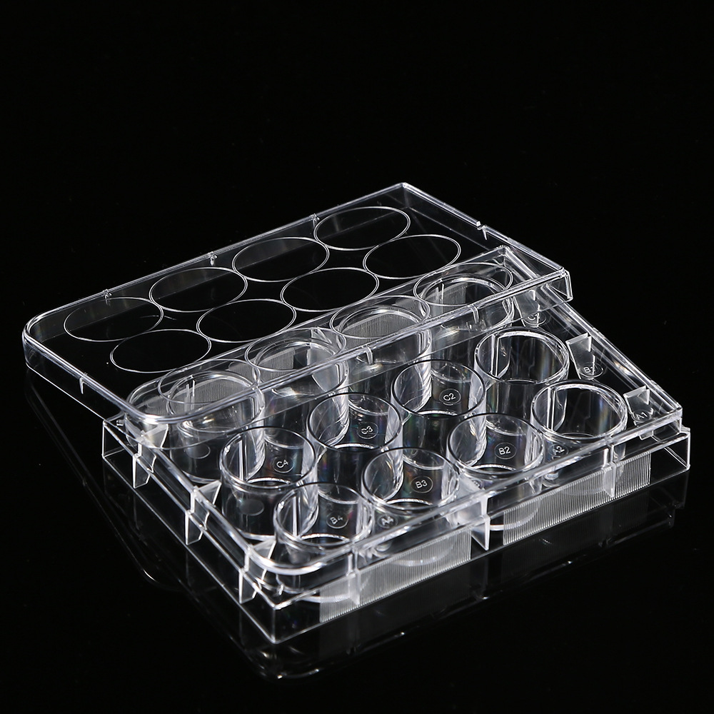 5 Stück Polystyrol 12 Vertiefu – Medical Lab Supplies Bewertung und Preis