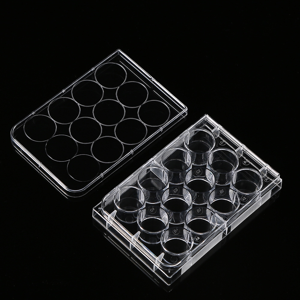 5 Stück Polystyrol 12 Vertiefu – Medical Lab Supplies Bewertung und Preis